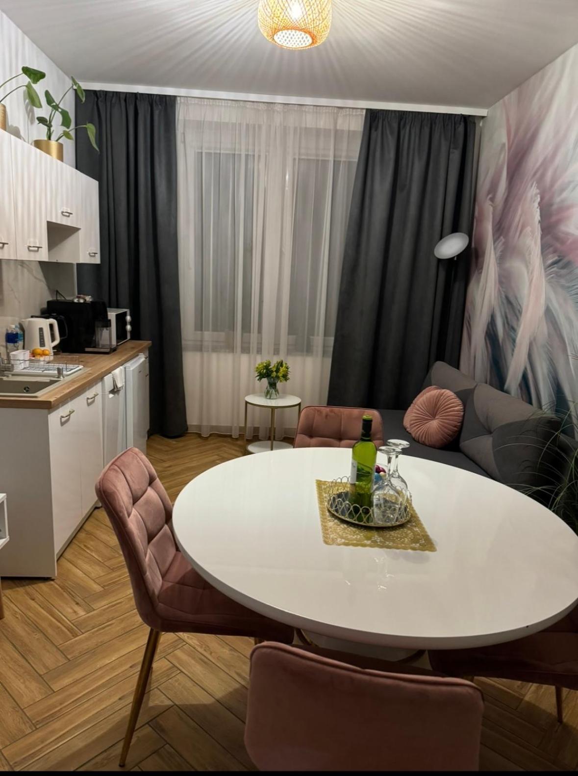 נובה רודה Dawna Mleczarnia Apartamenty Sosnowy מראה חיצוני תמונה