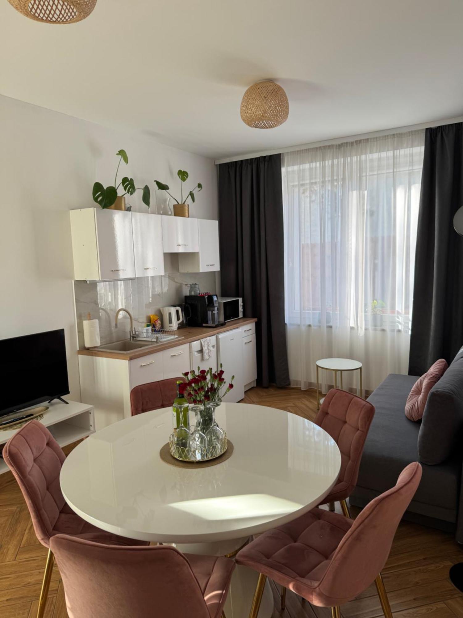 נובה רודה Dawna Mleczarnia Apartamenty Sosnowy מראה חיצוני תמונה
