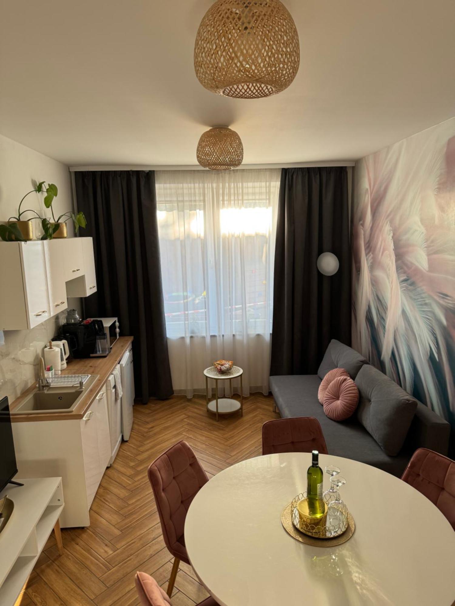 נובה רודה Dawna Mleczarnia Apartamenty Sosnowy מראה חיצוני תמונה