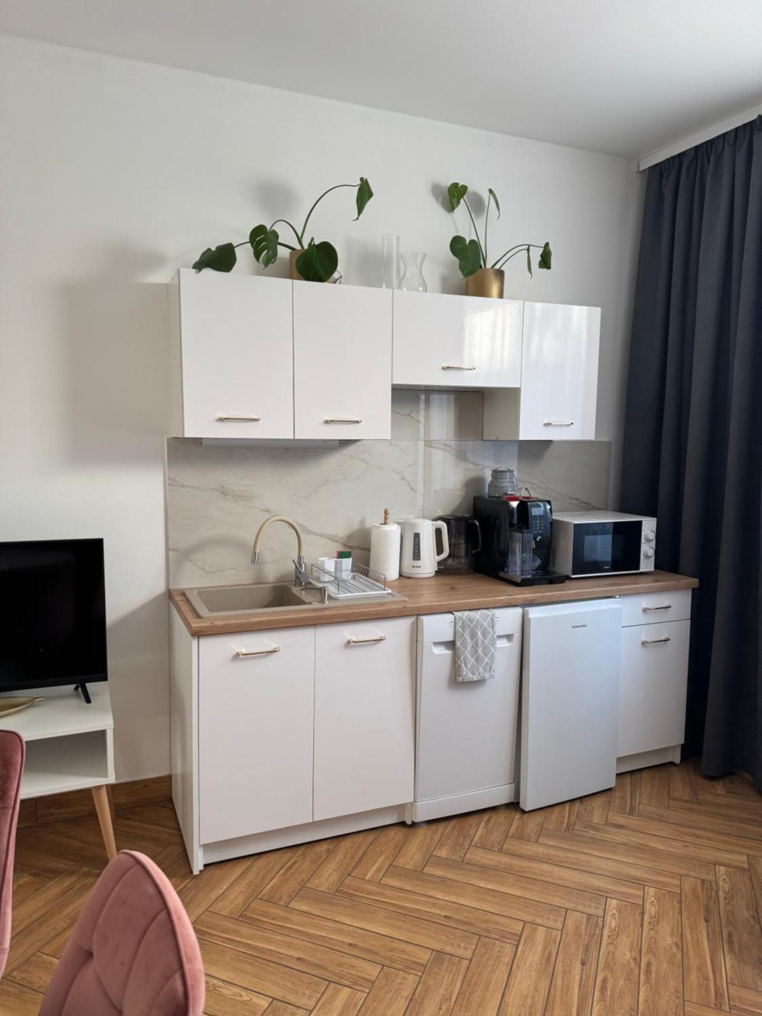 נובה רודה Dawna Mleczarnia Apartamenty Sosnowy מראה חיצוני תמונה
